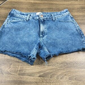 Casual Blue Jean Shorts for Women